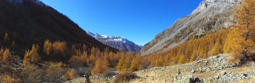 Vallon de la Moutière Vue vers lest 860x280