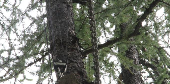 Photos  contrepoids point Est 2018