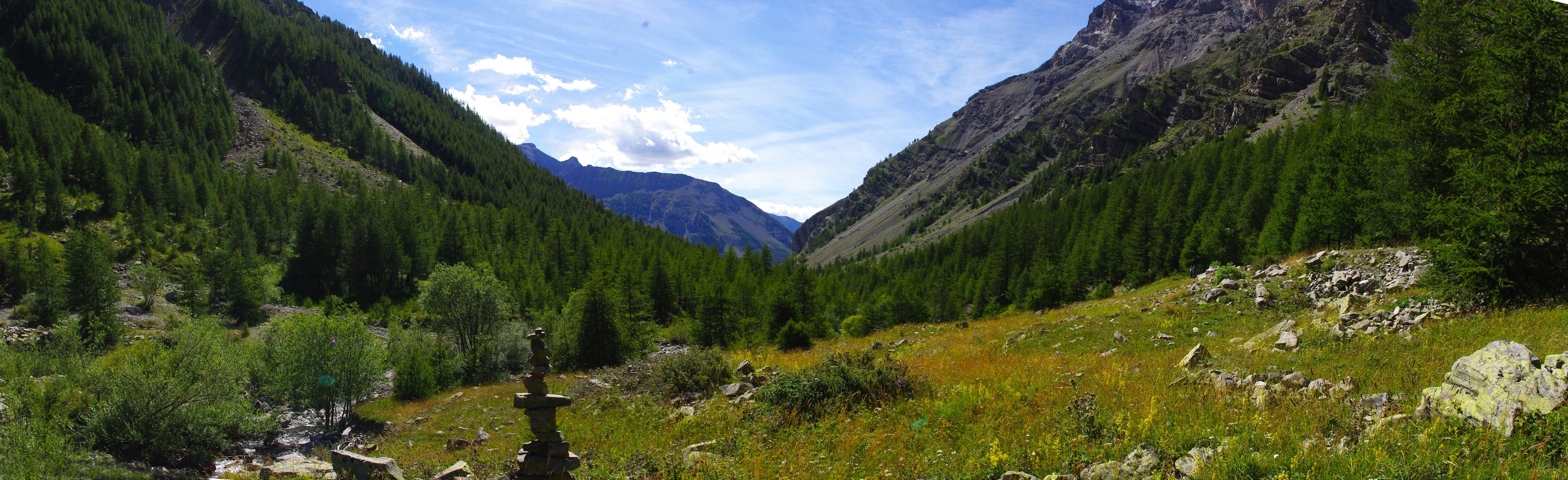 Vallon de la Moutière